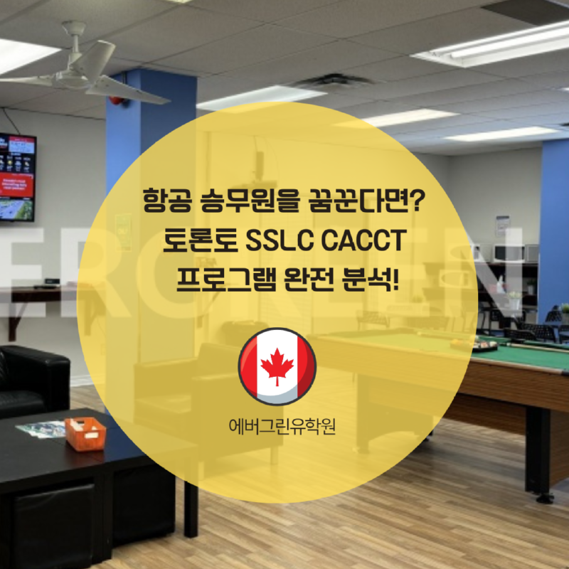 6개월 연수 추천어학원의 사본.png