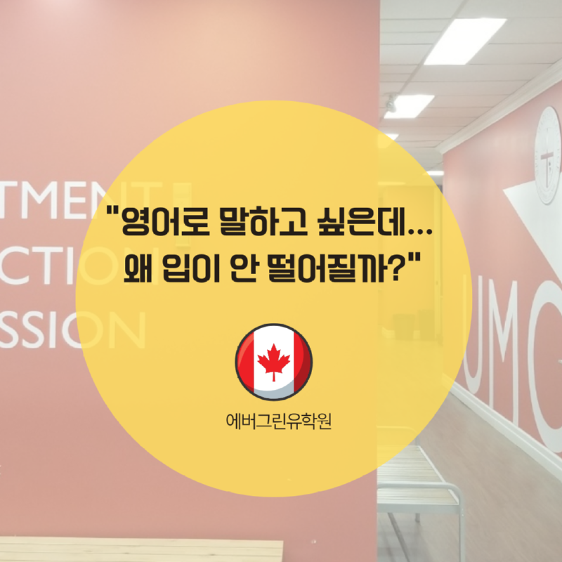 토론토 스피킹 어학원.png